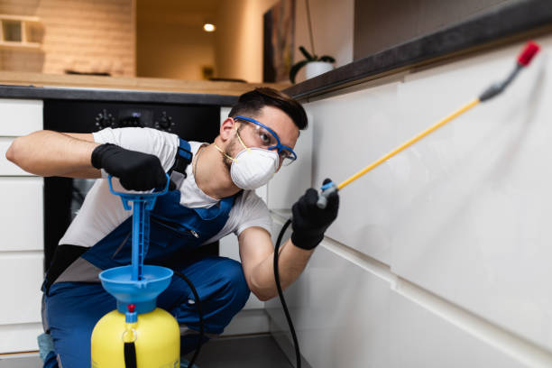 Best Rat Extermination Near Me  in Walker Mill, MD