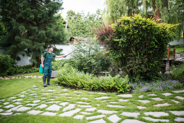 Best Best Pest Control Companies  in Walker Mill, MD