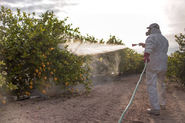 Best Emergency Pest Control  in Walker Mill, MD