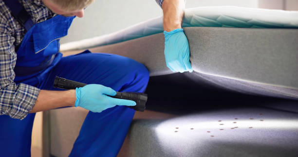 Best Residential Pest Control  in Walker Mill, MD