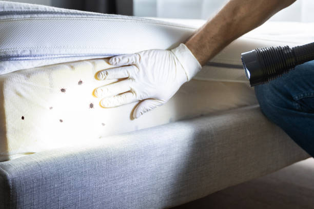 Best Commercial Pest Control Services  in Walker Mill, MD