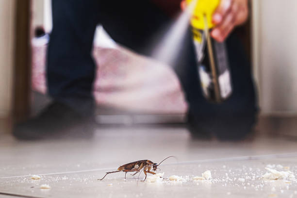 Best Cockroach Control Services  in Walker Mill, MD
