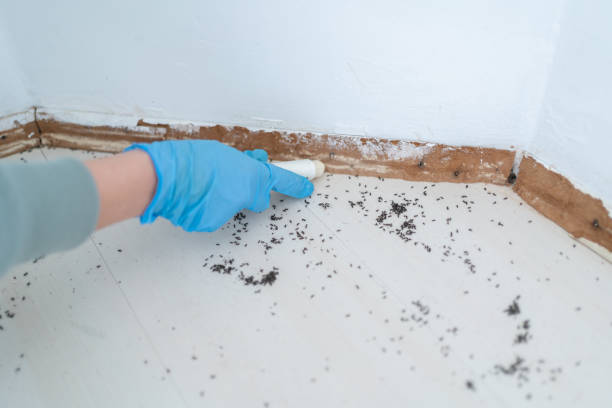 Walker Mill, MD Pest Control Company