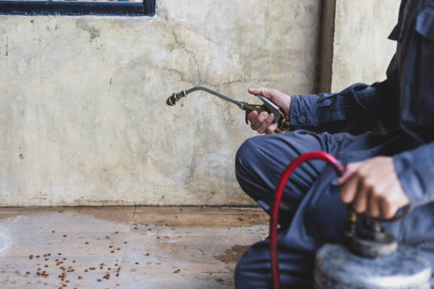 Pest Prevention Services in Walker Mill, MD