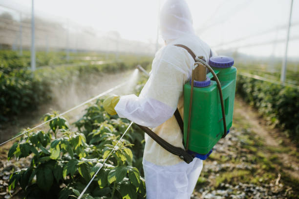  Walker Mill, MD Pest Control Pros